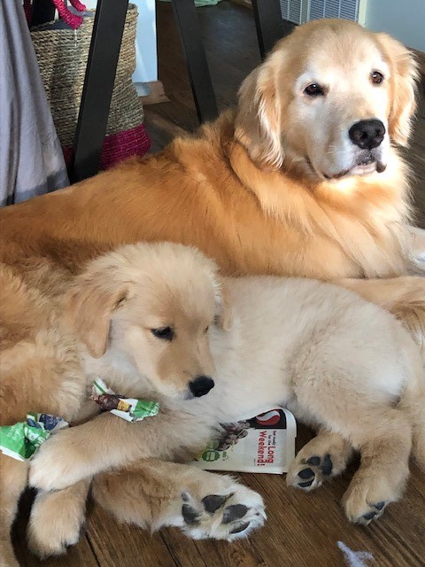 Bodhi and Becket