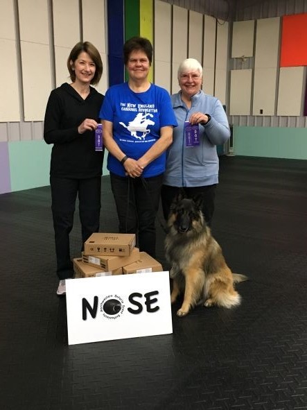 Trust Nosework